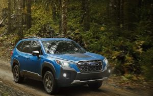 2025 Blue Subaru Forester Wilderness